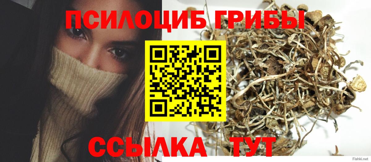 Галлюциногенные грибы Magic Shrooms  Вход с VPN  Галлюциногенные грибы ЛСД  Ливны 
