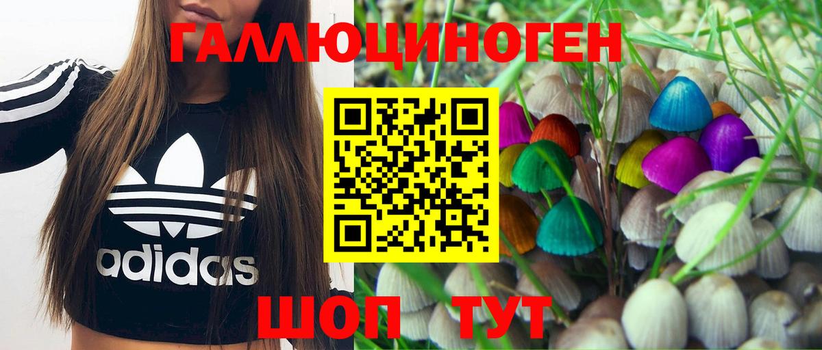 Псилоцибиновые грибы GOLDEN TEACHER Ливны